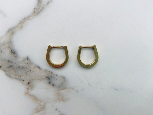 Oorbel goud horseshoe